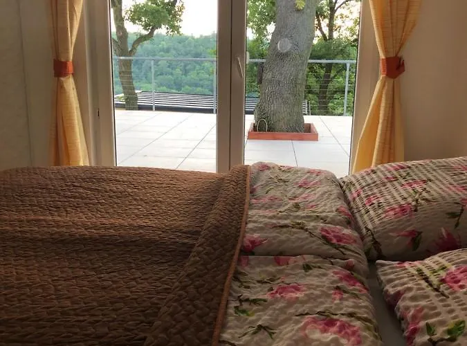 - D - Vyhlidka Nad Rekou Apartament