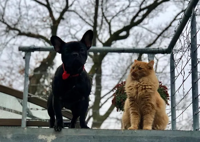 - D - Vyhlidka Nad Rekou